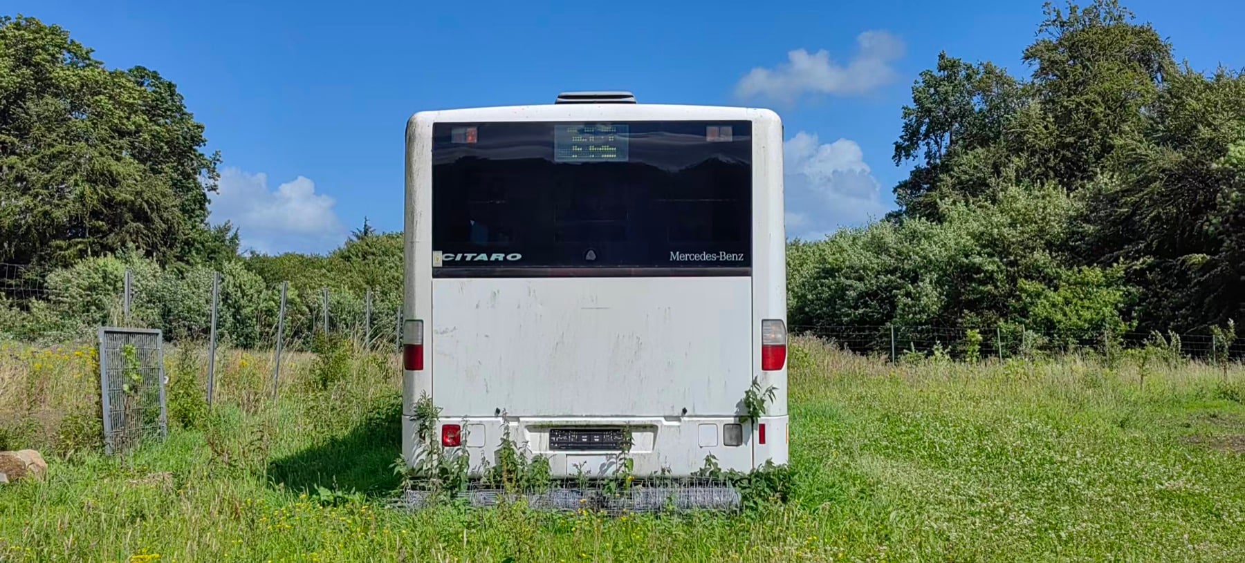 Found this abandoned bus in the woods, somewhere on the road